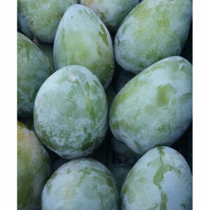 Fresh Mango