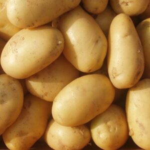 Fresh Potatoes