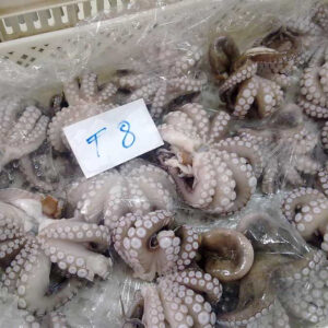 Frozen Octopus
