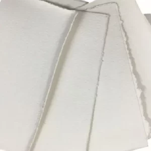 Bleached Softwood Kraft Pulp (BSKP)