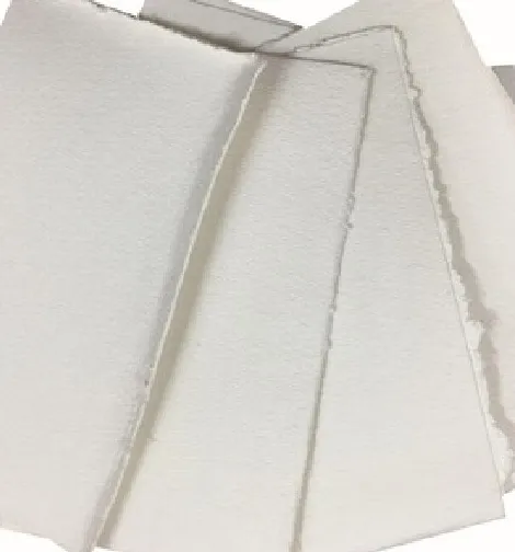 Bleached Softwood Kraft Pulp (BSKP)