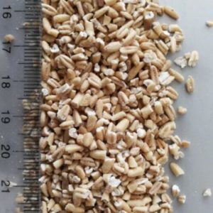 INSTANT OATS