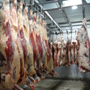 Halal Beef Carcass – Full or Half | Bone-In or Boneless